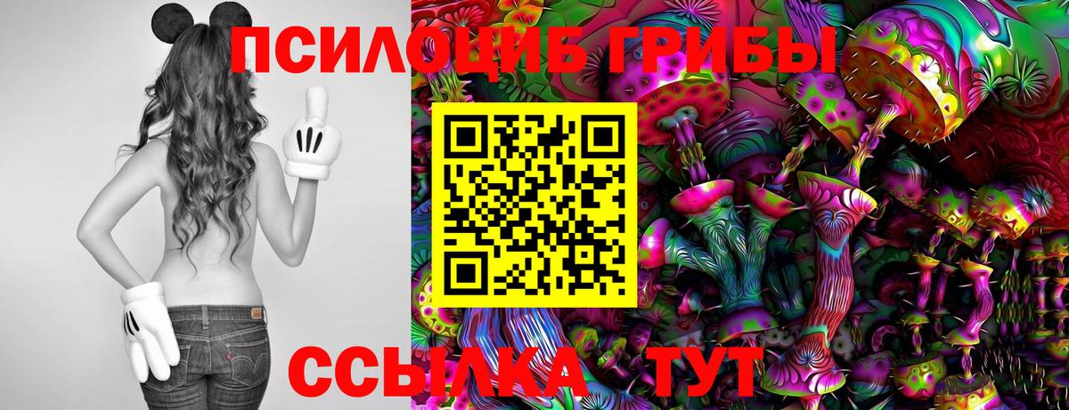 Псилоцибиновые грибы Psilocybe Шали