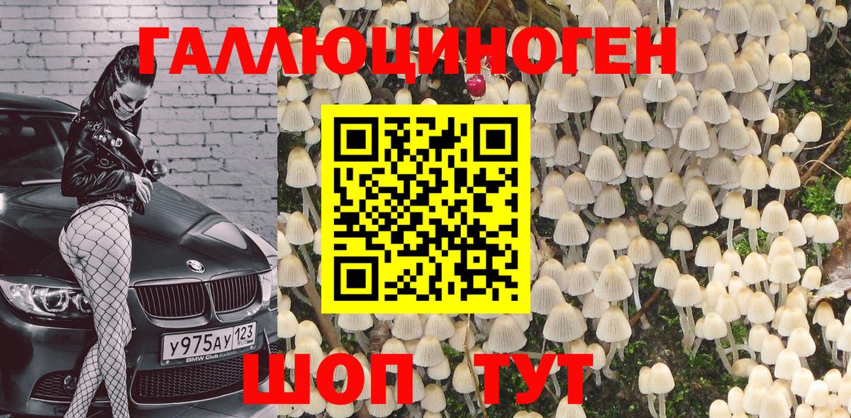 Шали  Галлюциногенные грибы Cubensis  Вход с VPN 